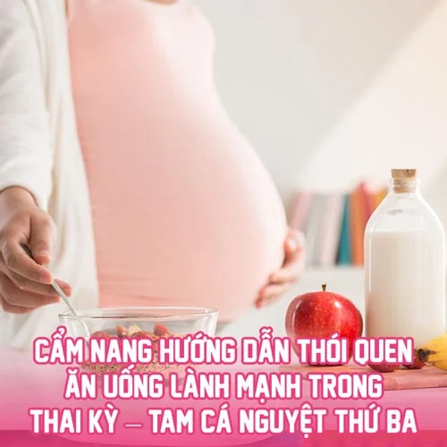 cam nang an uong tam ky ca nguyet 3 shopconyeugiasi 2 b6cf7f6d2f124d16b8350912578af08c