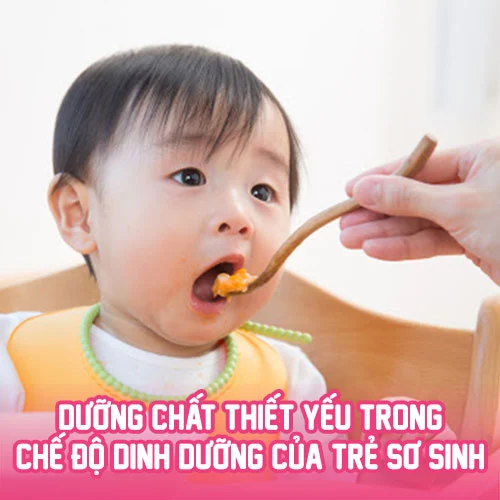 dinh duong thiet yeu cho tre shopconyeugiasi 1 3eca9222d40b45c6a5bd6f679c39cd02