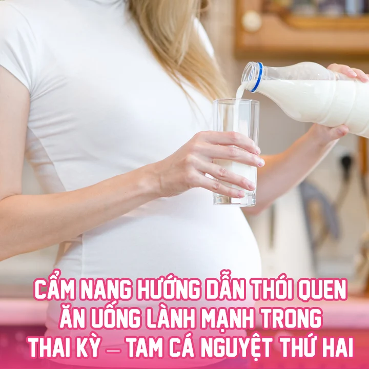 ky ca nguyet 2 shopconyeugiasi 1 7504b516ffc94fadb5555fed296734f2 d87a76685c1c4d98b17f29e4f17f2e0d