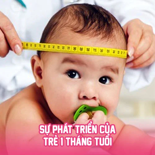 su phat trien cua be so sinh shopconyeugiasi 1 6c3ed381a711451aac58598d5954a356